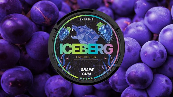 A Grape Gum Delight: Iceberg Grape Gum Nicotine Pouches Review