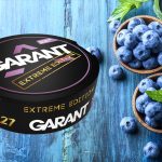 Garant Ice Blueberry nicotine pouches