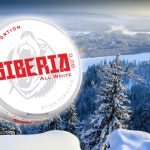 Siberia Mini nicotine pouches: A Powerful Burst of Minty Freshness