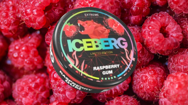 Cool and Flavorful Delight: Reviewing Iceberg Raspberry Gum Nicotine Pouches