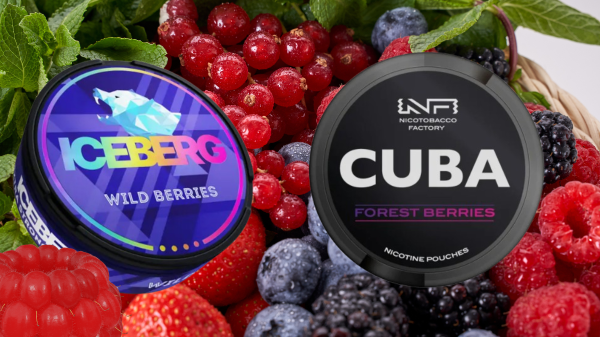 Nicotine Pouch Showdown: Cuba Forest Berries Strong Vs Iceberg Wild Berries