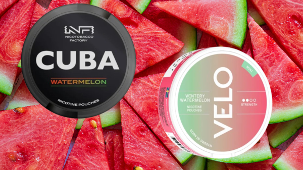 Taste Showdown: VELO Wintery Watermelon Mini vs. Cuba Black Line Watermelon Nicotine Pouches!