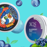 Battle of the Blueberries: A Comprehensive Comparison of Kurwa Fatality Brudal Blueberry vs. XQS Blueberry Mint Nicotine Pouches