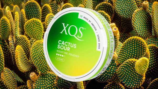 Embark on a Tangy Adventure: Exploring XQS Cactus Sour Nicotine Pouches