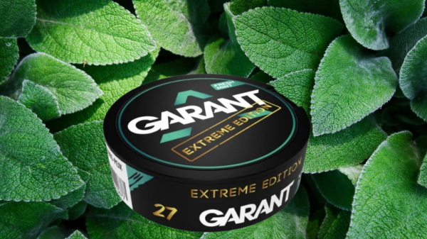 Refreshment Redefined: A Comprehensive Review of Garant Extreme Freshmint Nicotine Pouches