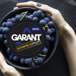 Experience the Bold Flavor: A Comprehensive Review of GARANT Grape Extreme Nicotine Pouches