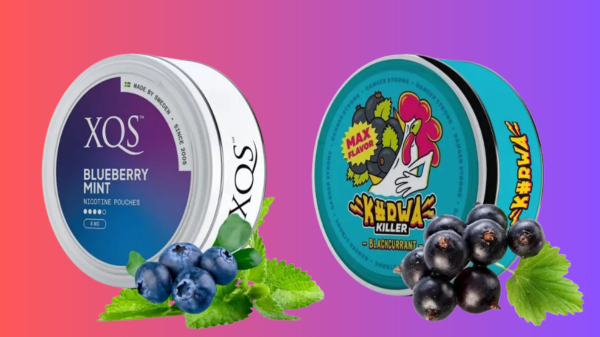 Battle of the Berries: Kurwa Killer Blackcurrant vs. XQS Blueberry Mint Nicotine Pouches