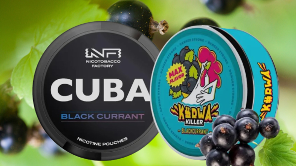 Battle of the Blackcurrants: Kurwa Killer Blackcurrant vs. Cuba Black Line Black Currant