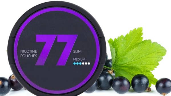 A Bold and Flavorful Experience: In-Depth Review of 77 Black Currant Nicotine Pouches