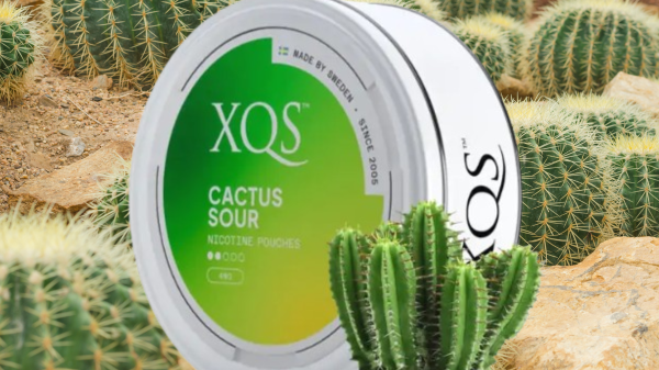 A Unique Twist on Flavor: An In-Depth Review of XQS Cactus Sour Nicotine Pouches