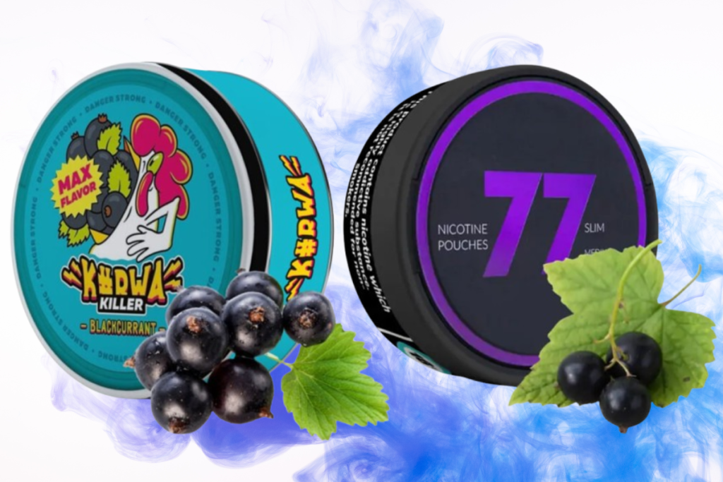 Battle of the Blackcurrants: A Detailed Comparison of 77 Black Currant vs. Kurwa Killer Blackcurrant Nicotine Pouches