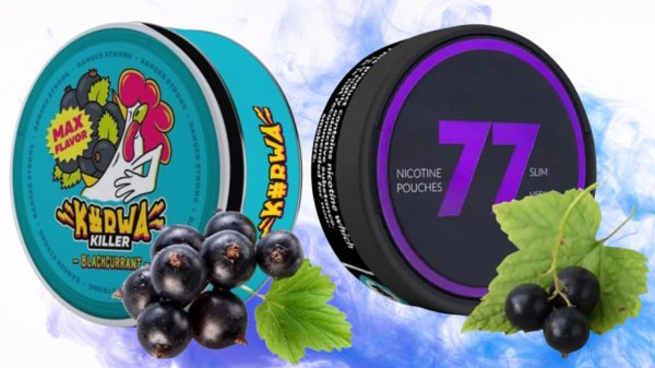 Battle of the Blackcurrants: A Detailed Comparison of 77 Black Currant vs. Kurwa Killer Blackcurrant Nicotine Pouches