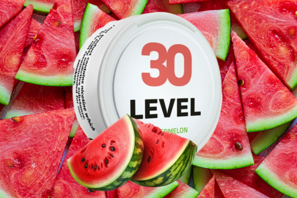 Refreshing Bliss in Every Pouch: Level 30 Watermelon Nicotine Pouches