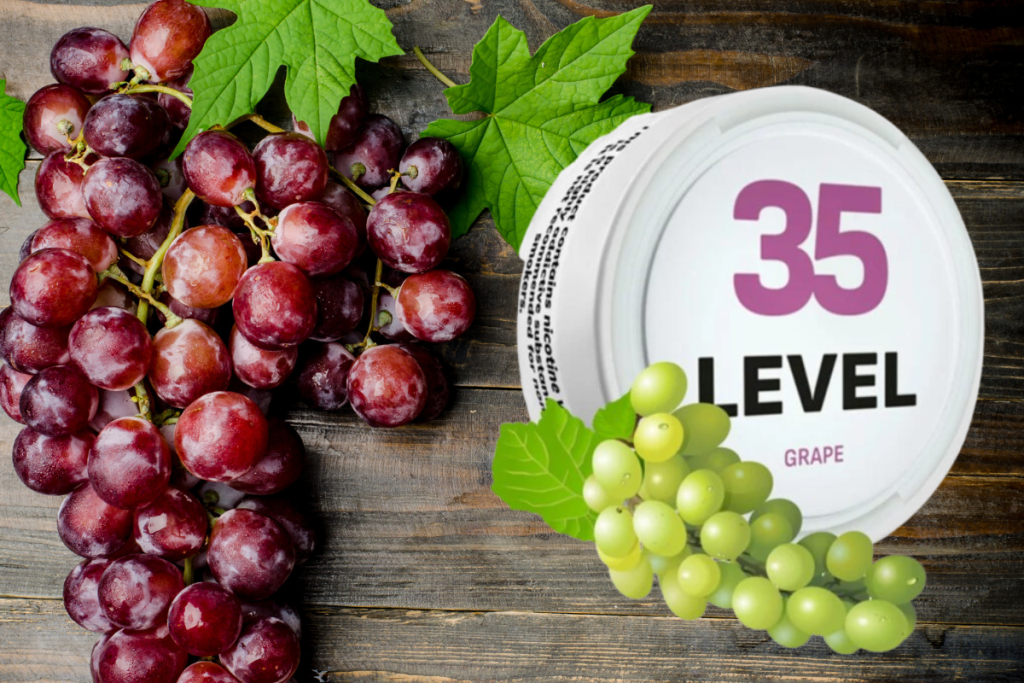 Experience the Burst of Flavor with LEVEL 35 Grape Nicotine Pouches