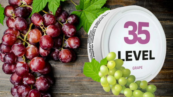 Experience the Burst of Flavor with LEVEL 35 Grape Nicotine Pouches